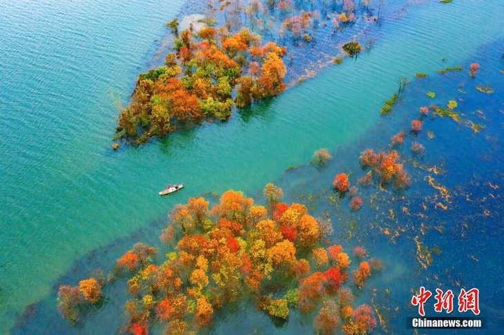 航拍赣江江西吉水段水域红树林 景色美如画 ảnh 2