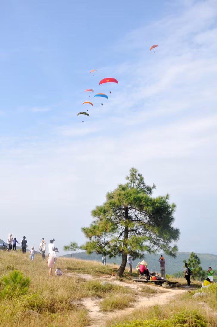 凤凰山诗意的风景