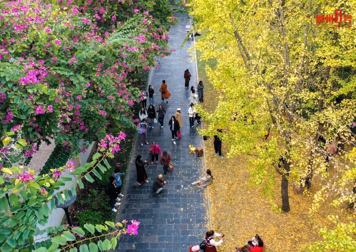 柳侯公园内，道路两旁色彩各异。 Trong công viên Liễu Hầu, hai bên đường có màu sắc khác nhau.