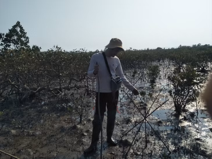 谭河县护林部门人员在大平乡红树林新种植地区进行检查并验收。