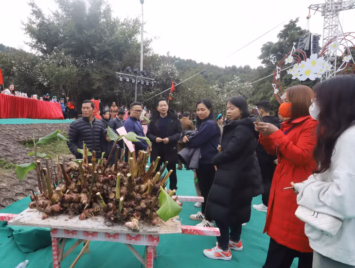 平辽县葛根