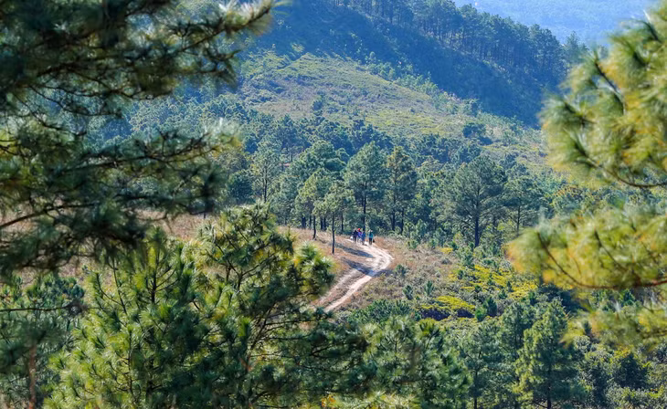 Để lên núi, du khách sẽ đi xuyên qua những cánh rừng 游客需要穿过森林方可上山
