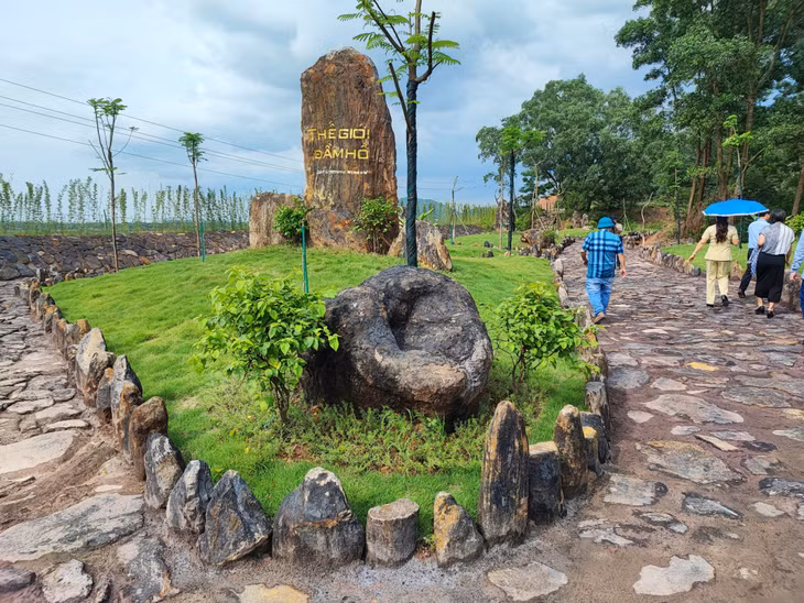 在那阳盆地发现了距今4000万至5000万年的古代动植物化石遗迹。 Dấu tích hóa thạch của các loài động, thực vật cổ có niên đại 40-50 triệu năm trước được tìm thấy ở trũng Na Dương.
