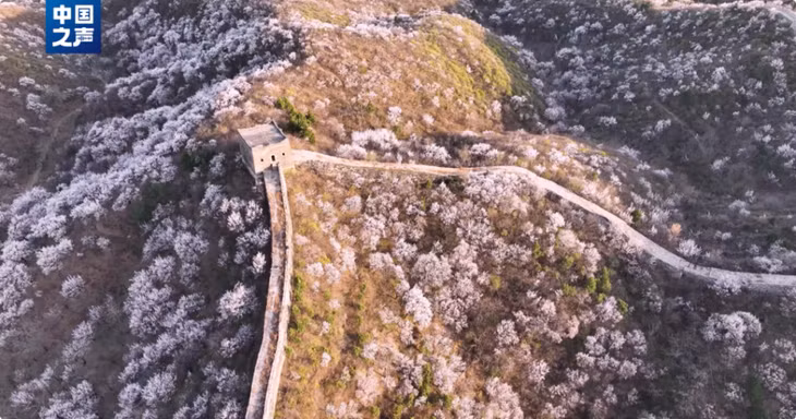 凭祥友谊关口岸迎来越南旅游团队 ảnh 7