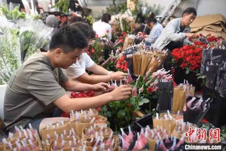 浙江杭州鲜花批发市场、鲜花店的玫瑰等鲜花在七夕前迎来销售高峰（中国新闻网，王刚 摄） Các loại hoa tươi như hoa hồng... tại chợ bán buôn hoa tươi, tiệm hoa tươi tại Hàng Châu, Chiết Giang bước vào đợt cao điểm tiêu thụ trước lễ Thất Tịch