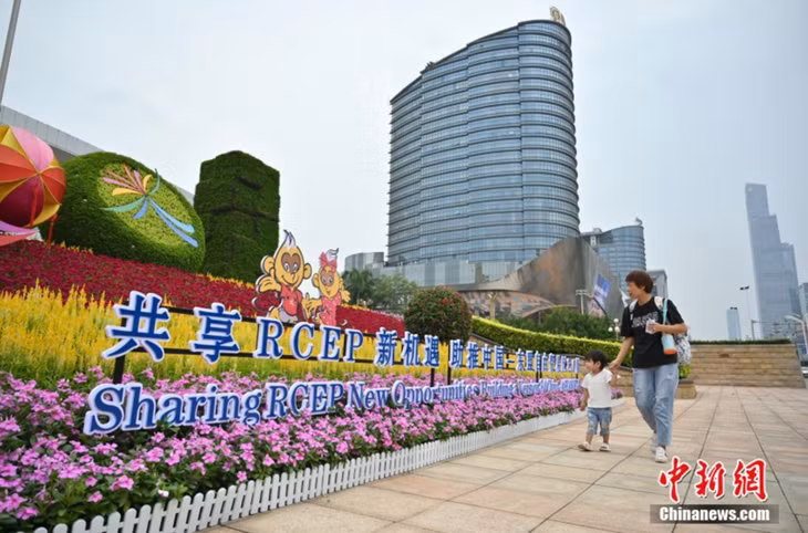 广西南宁以高颜值迎接盛会 ảnh 1