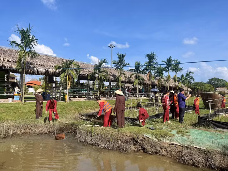 在同塔省新庆忠乡芳南文化旅游区体验“一日农夫”。 Trải nghiệm “Một ngày làm nông dân” tại Khu du lịch Văn hóa Phương Nam thuộc xã Tân Khánh Trung, tỉnh Đồng Tháp.