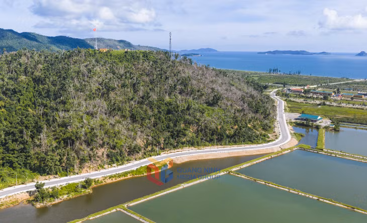 岛上的沿海公路蜿蜒穿过大自然，旁边是水产养殖池塘，为当地经济发展做出贡献。