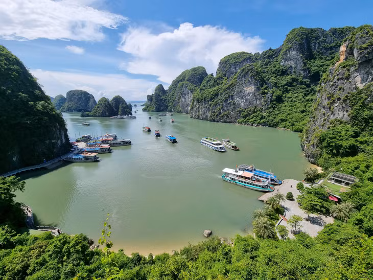 世界遗产下龙湾令人惊叹的美景因其美学价值和地质地貌价值两次被联合国教科文组织认可。