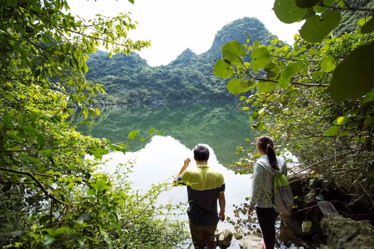 油湖（Áng Dù）地区拥有丰富多样的海鲜品种以及许多珍稀特有的动植物物种。