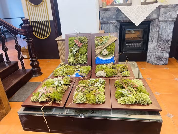 工作坊结束后，制作了苔藓画产品。