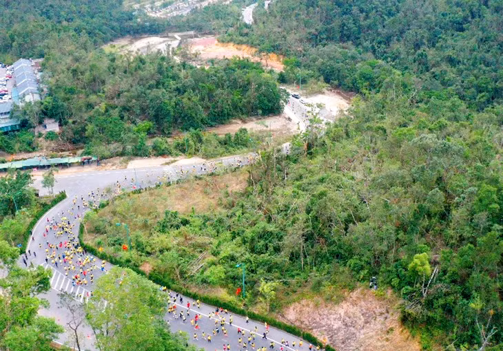 跑步路线融入了安子山林的绿色。