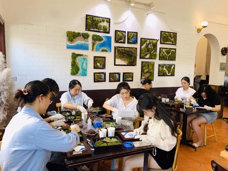 下龙市的苔藓绘画工作坊吸引了许多参与者，尤其是年轻人。