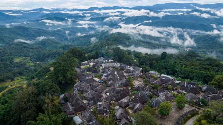景迈山：全球首个茶主题世界文化遗产 ảnh 1