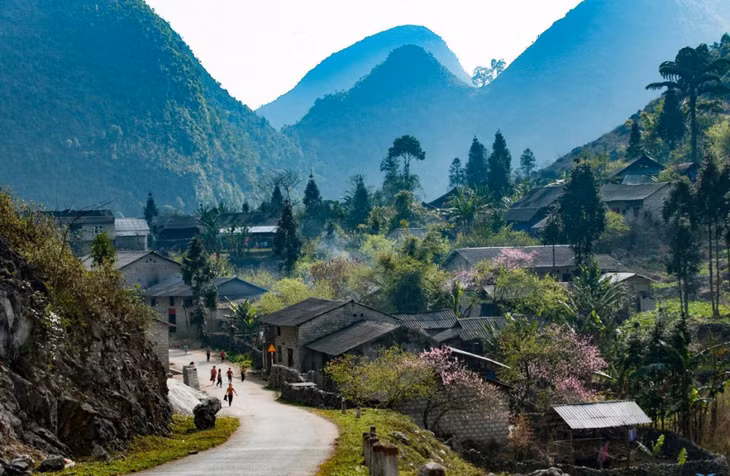 春天的宠罗谷桃花烂漫 Thung lũng Sủng Là trong sắc hoa đào mùa xuân