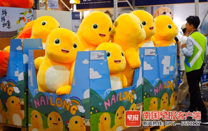 红红火火过大年，南宁“龙味”渐浓！ ảnh 4