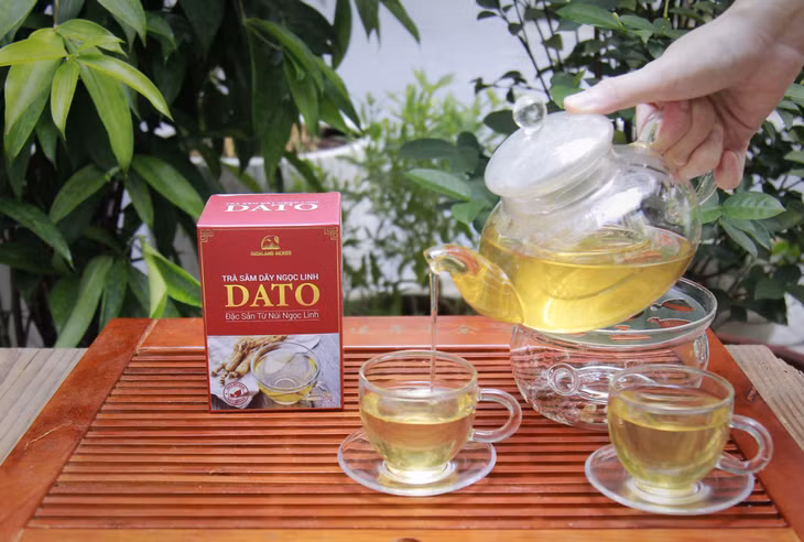 玉灵党参茶Trà sâm dây Ngọc Linh