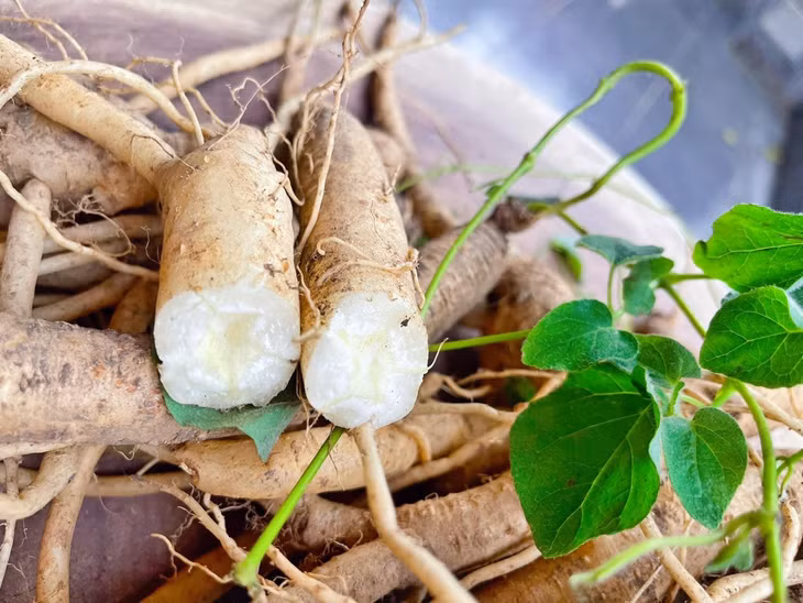 玉灵山的精华——药膳 ảnh 3