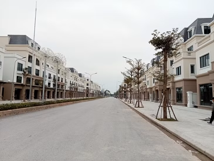 广宁省芒街市提升招商引资成效 ảnh 2