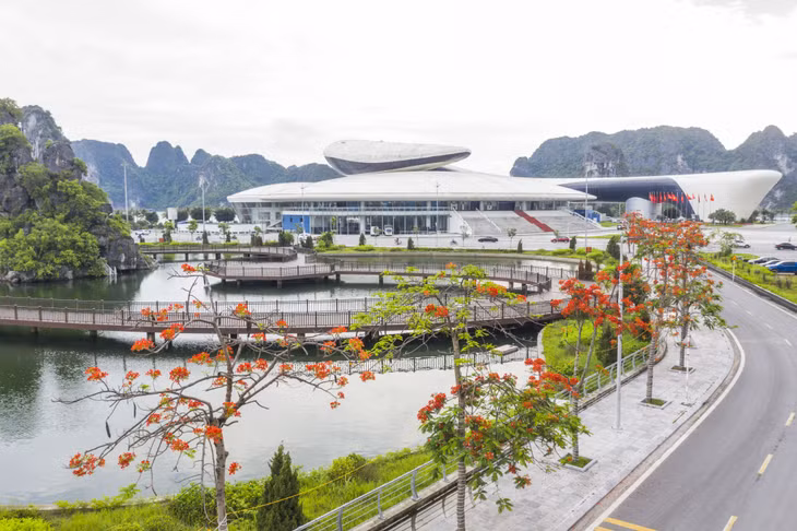 红艳似火的凤凰花为各条街道增添了鲜艳的色彩。