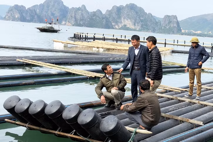 云屯县基本更换达到水产养殖标准的环保泡沫浮球。