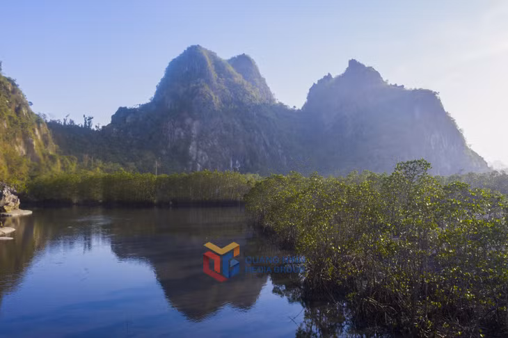 下龙湾岩石山脉沿岸的红树林是一幅山、林、海和谐共存的景象，实属难得。