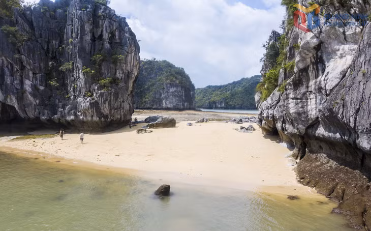 保护和可持续开发天然沙滩之美，有助于提升下龙湾旅游在国际友人眼中的地位与价值。