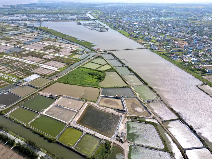 宁平省南定地区是越南北部最大的盐产地，拥有白龙、海后等著名盐田。 Khu vực Nam Định (tỉnh Ninh Bình) là vựa muối lớn nhất miền Bắc Việt Nam với những cánh đồng muối nổi tiếng như Bạch Long, Hải Hậu.