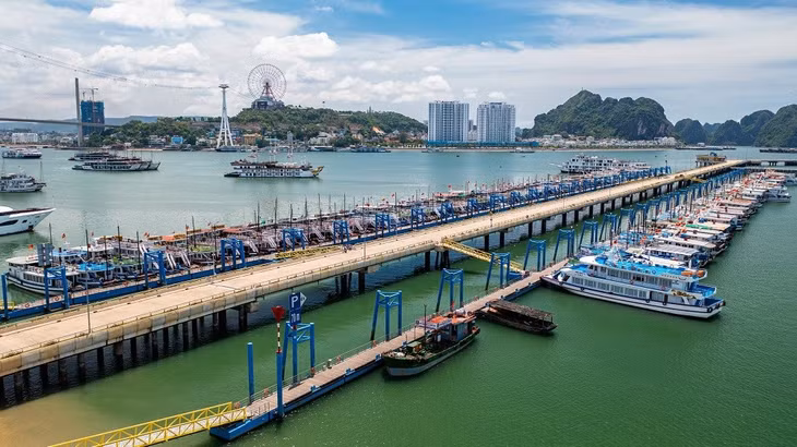 打造现代化、安全、环保的旅游船队 ảnh 1