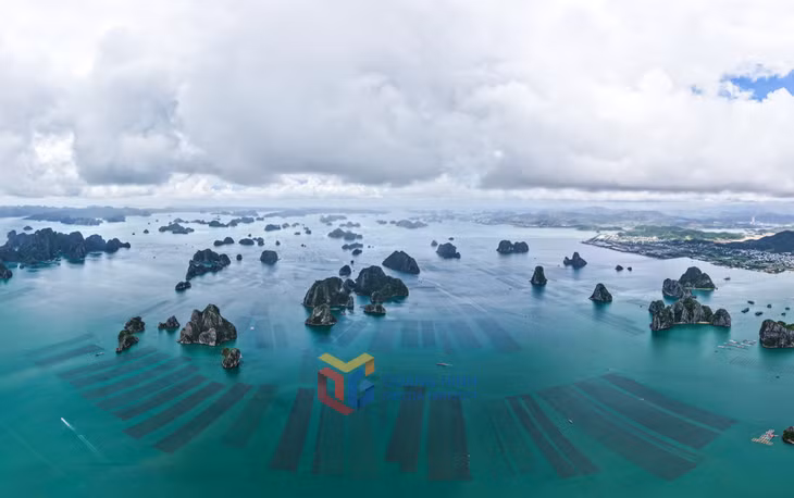 水产养殖区坐落在石灰岩山脉之间，展现出人与自然和谐共处的生动景象。