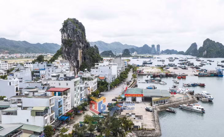 云屯港总是熙熙攘攘，渔船结束捕鱼之旅返回港口，带来了充满活力的工作生活氛围。