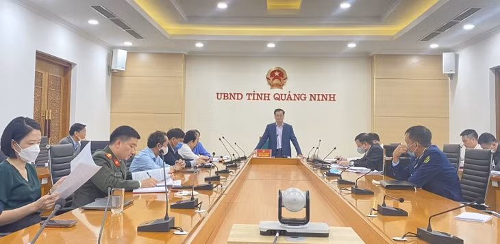 广宁省人民委员会副主席裴文康在会议上发表指导意见。