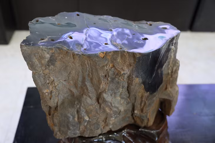 Gỗ hóa thạch được tìm thấy ở huyện Cư Jut, tỉnh Đăk Nông.