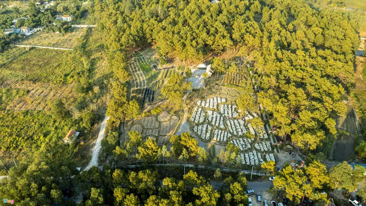 雏菊花园面积7.6公顷，从2019年春节开始向游客开放。