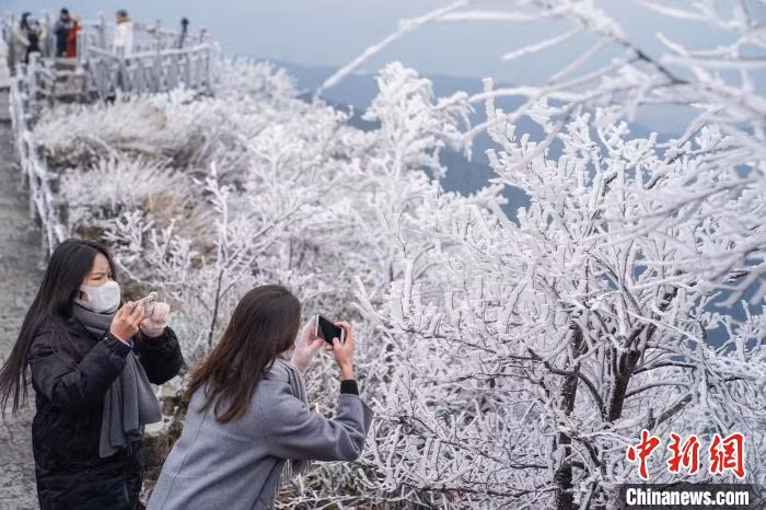 广西南宁大明山景区迎来2023年首场雾凇 ảnh 4