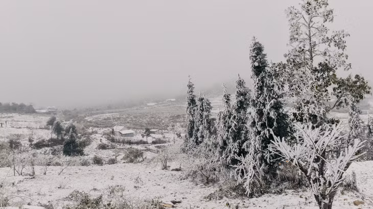 梁山的雪花美景 ảnh 2