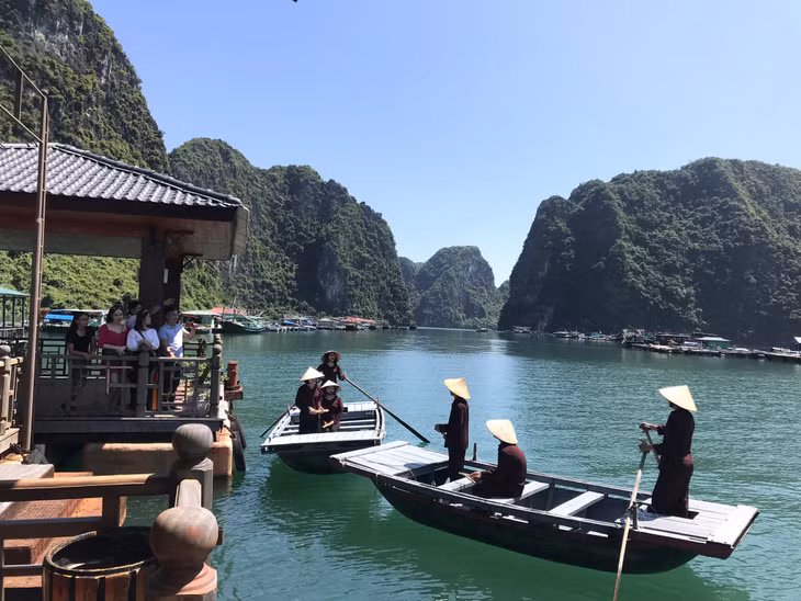 广宁体验旅游活动颇受游客的欢迎。