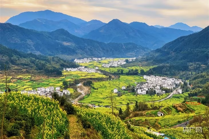 广西友谊关口岸跨境电商B2B出口火热 ảnh 3