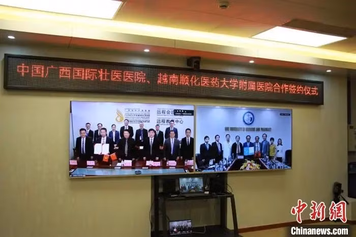 广西与越南加强传统民族医药领域合作 ảnh 1