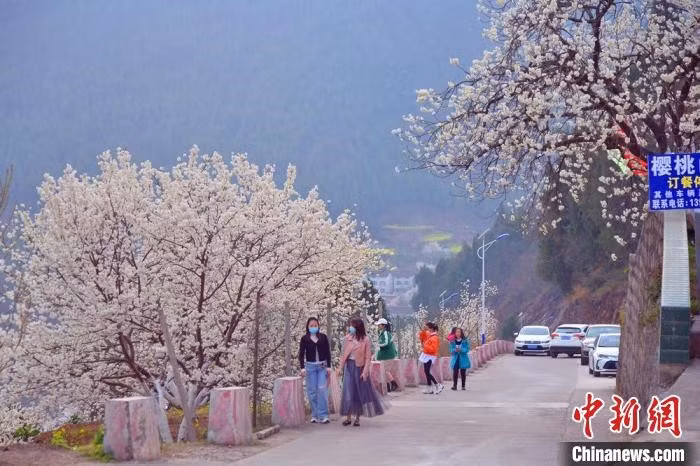 中国首次使用国产自主卫星测得全球重力场数据 ảnh 8