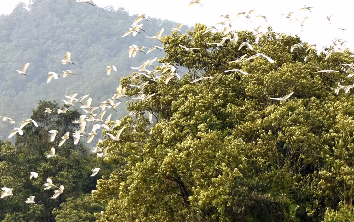 竹排山湖 ảnh 5