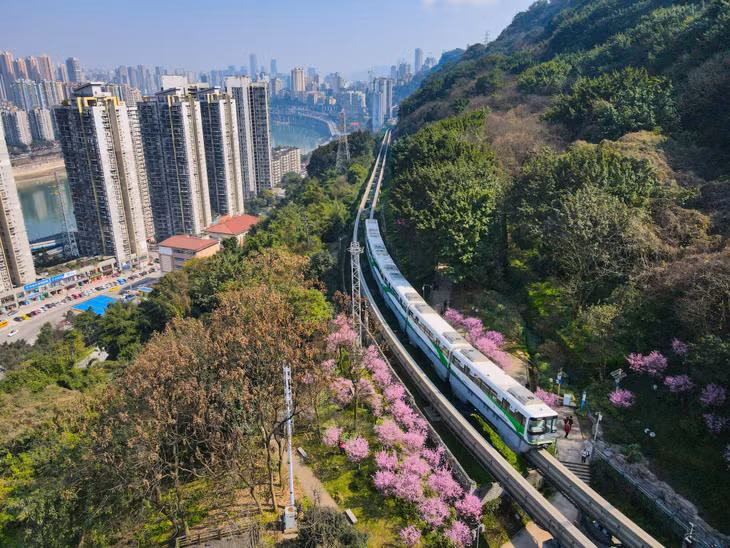 中国“开往春天的列车” ảnh 4