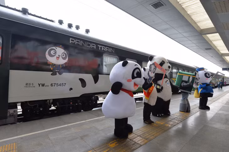 中国“开往春天的列车” ảnh 2