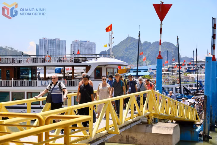 许多国际旅游团都对参观下龙湾感到兴奋。