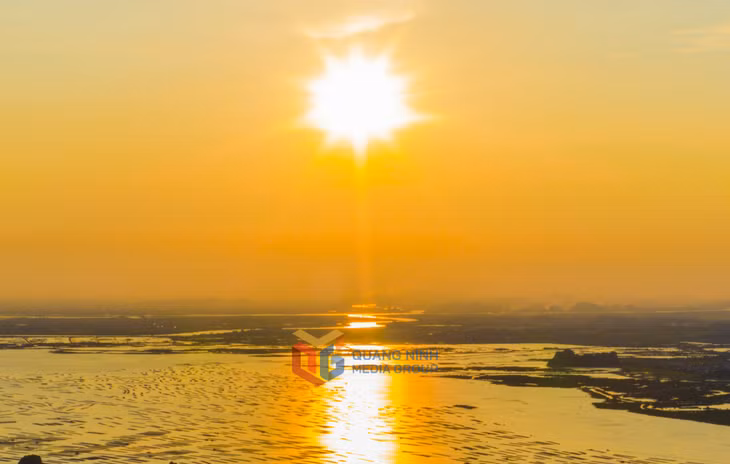 夕阳落在河南岛上，海水和红树林被染成金色。