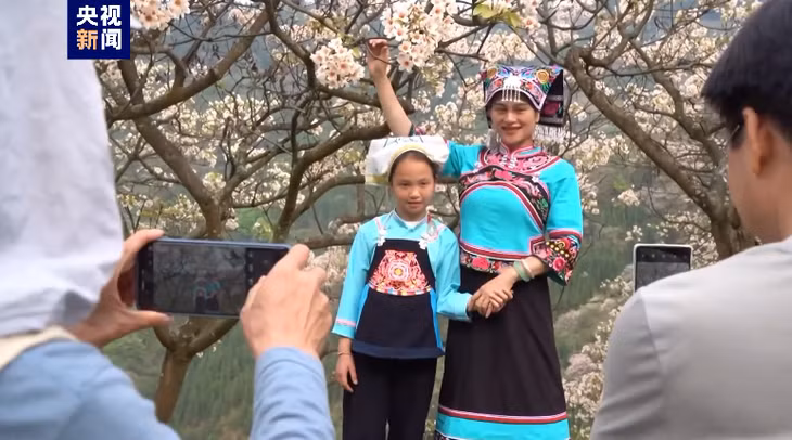广西天峨油桐花惊艳绽放 ảnh 6