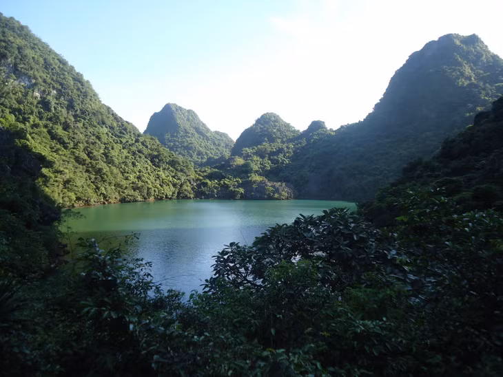 拜子龙湾生态系统丰富多样。