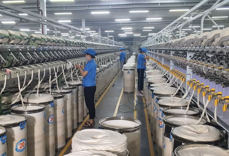 芒街市海岸工业区银龙天虹科技有限责任公司的生产现场。