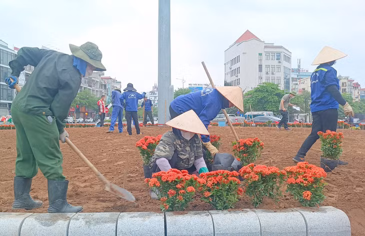 节日期间，下龙市积极进行景观整治，种植花卉和绿树。