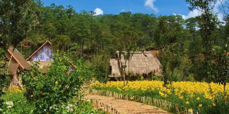 蜂猴村每个季节都有其温柔迷人之美 Ngôi làng Cù Lần mùa nào cũng mang một vẻ đẹp dịu dàng, quyến rũ